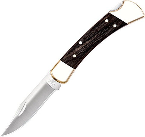 Buck Knives 110 Folding Knife