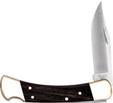 Buck Knives 110 Folding Knife