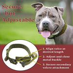 Ridge Ramblers Khaki Training Dog Collar with Handle and Metal Buckle